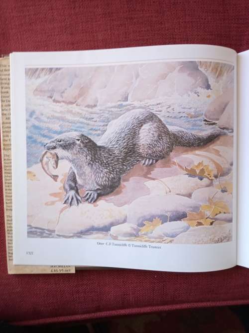 Tomorrow Is Too Late. Intro by Sir David Attenborough. 1st 1990. H/C with jacket. Lrg format.