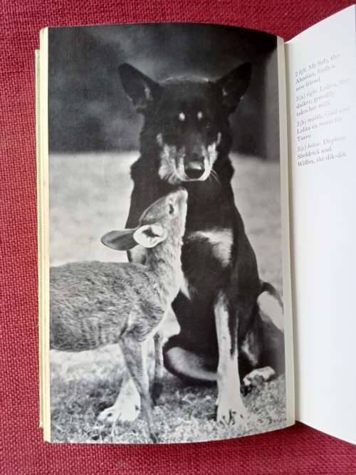 Listen to the Wild by Susanne Hart. 1st edition 1972. H/C no jacket. 222 pp.