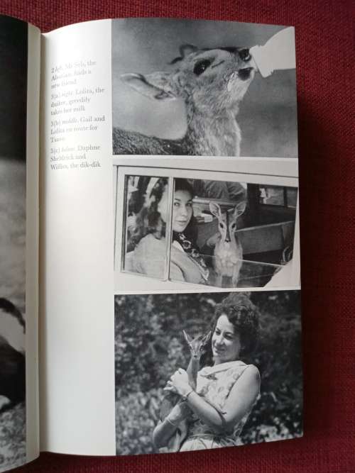 Listen to the Wild by Susanne Hart. 1st edition 1972. H/C no jacket. 222 pp.