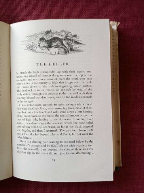 Tales of Moorland and Estuary by Henry Williamson. 1st edition 1953. H/C with jacket. 256 pp.