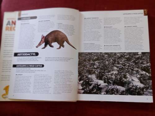 Animal Records by Mark Carwardine. 1st ed 2007. H/C. Large format. Full colour. 256 pp.