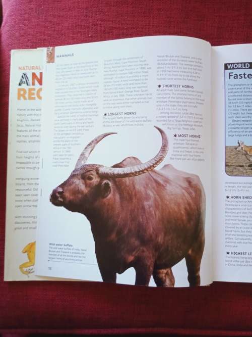 Animal Records by Mark Carwardine. 1st ed 2007. H/C. Large format. Full colour. 256 pp.