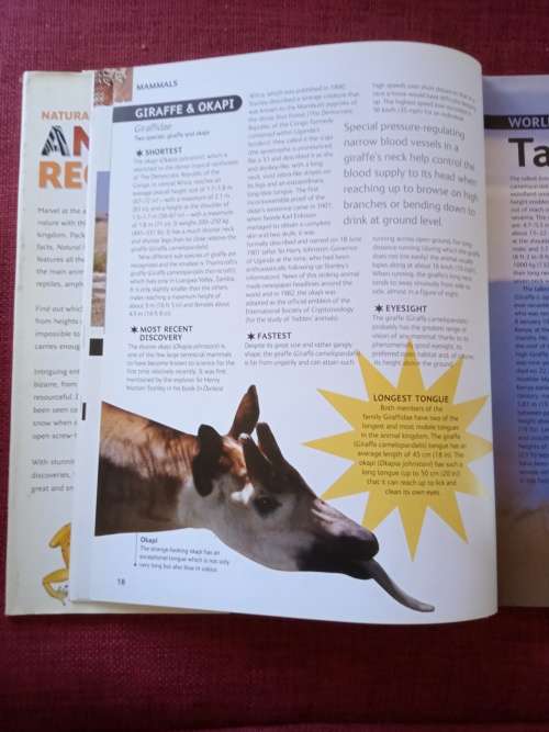 Animal Records by Mark Carwardine. 1st ed 2007. H/C. Large format. Full colour. 256 pp.