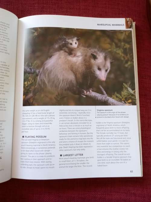 Animal Records by Mark Carwardine. 1st ed 2007. H/C. Large format. Full colour. 256 pp.