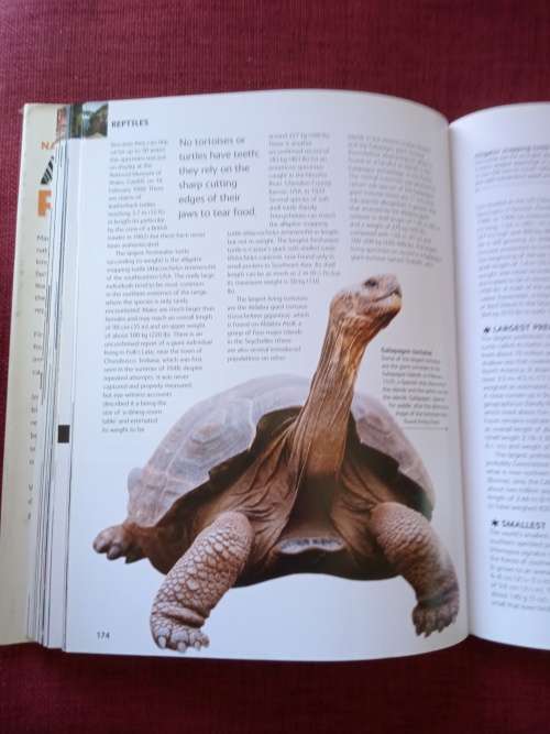 Animal Records by Mark Carwardine. 1st ed 2007. H/C. Large format. Full colour. 256 pp.