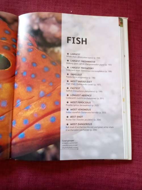 Animal Records by Mark Carwardine. 1st ed 2007. H/C. Large format. Full colour. 256 pp.