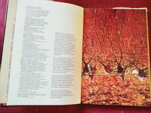 On the Brink of Tomorrow: Frontiers of Science. 1982. H/C with jacket. 200 pp.