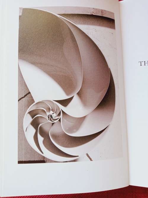 The Grand Design by Stephen Hawking and Leonard Mlodinow. 2nd ed 2011. S/C. 251 pp.