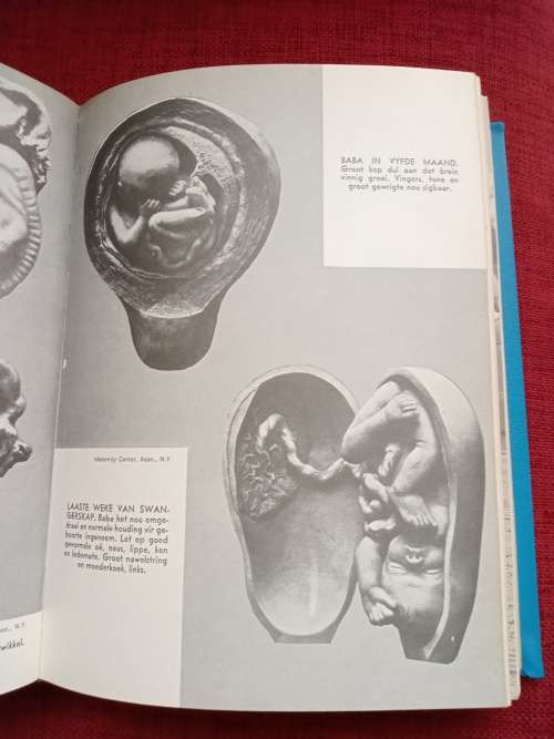 Moderne Mediese Voorligter deur dr CR Anderson. In Afrikaans vertaal. Groot formaat. H/B. 522 pp.