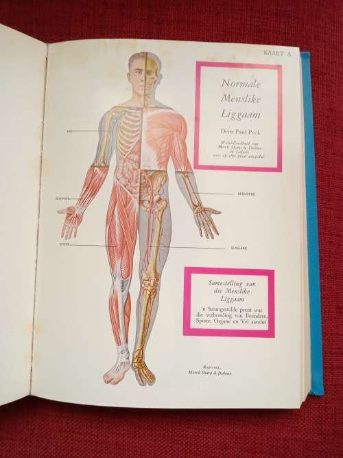 Moderne Mediese Voorligter deur dr CR Anderson. In Afrikaans vertaal. Groot formaat. H/B. 522 pp.