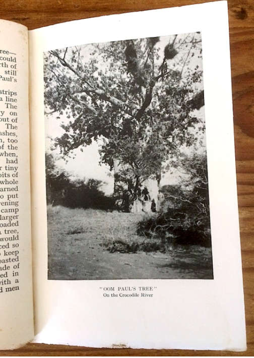 The Pace of the Ox, by Marjorie Juta. 1936 first edition. H/C. 338 pp.