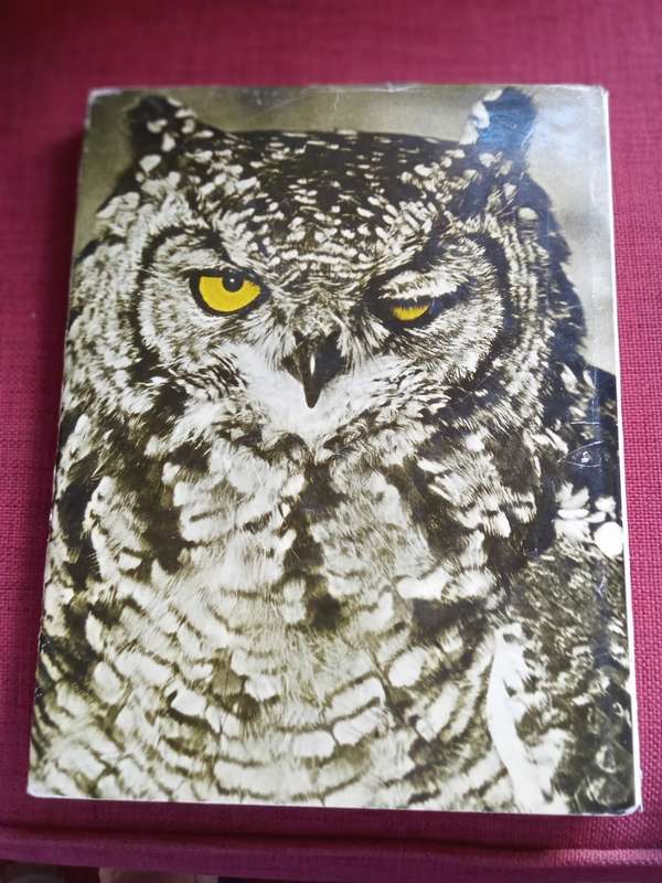 Etosha Image, by Helmut Zur Strasse. Signed 1st edition 1974. Large format H/C with jacket.