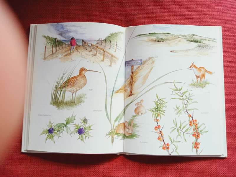 De Kleine Strandgids door Willem Iven & Annie Meussen. Nederlands. 1996. H/B. 80 pp.