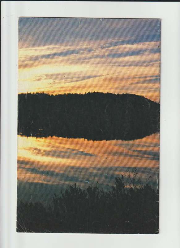Cerebus (1977-2004 Aardvark-Vanaheim) #242 comic book