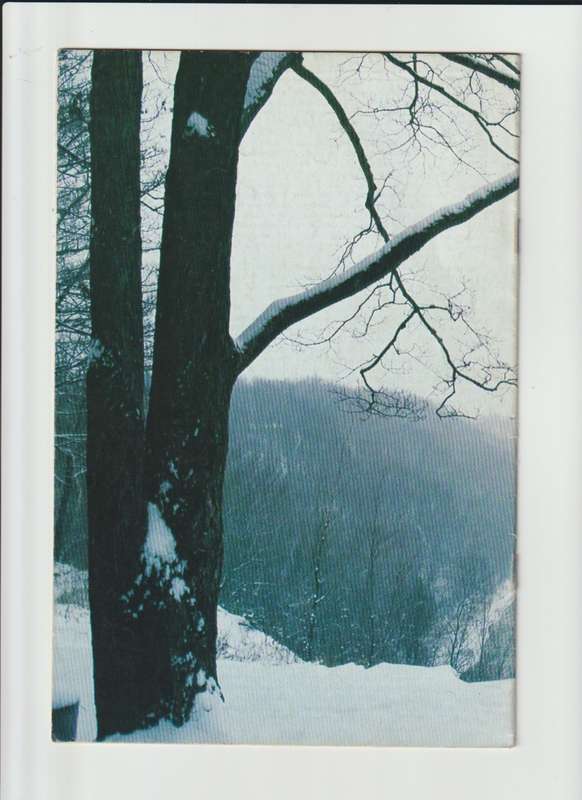 Cerebus (1977-2004 Aardvark-Vanaheim) #262 comic book