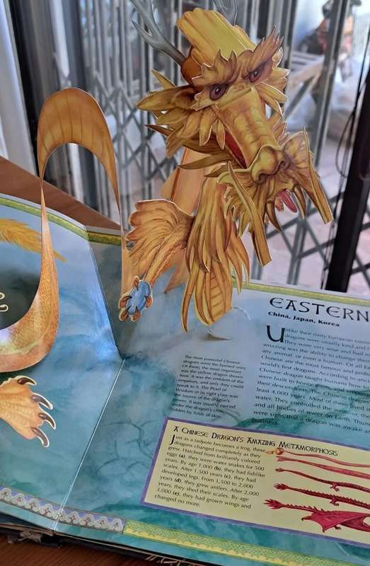 Dragon world a pop up 3D guide to these scaled beasts book kids children youngsters
