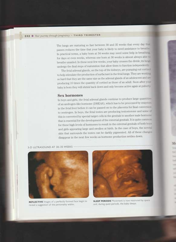 Your Pregnancy week by week by lesley Regan babies family what to expect parenting health