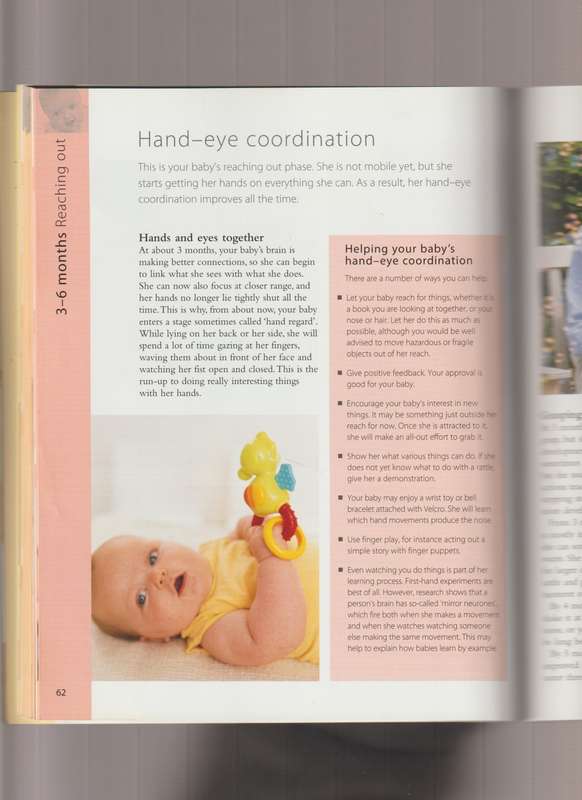 Baby Milestones What to Expect and How to Stimulate Your Childs Development from 0 to 3 Years book