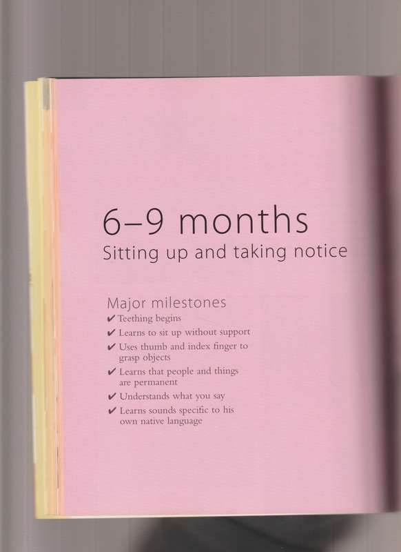 Baby Milestones What to Expect and How to Stimulate Your Childs Development from 0 to 3 Years book
