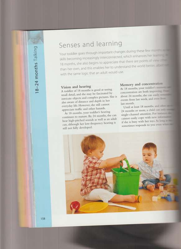 Baby Milestones What to Expect and How to Stimulate Your Childs Development from 0 to 3 Years book