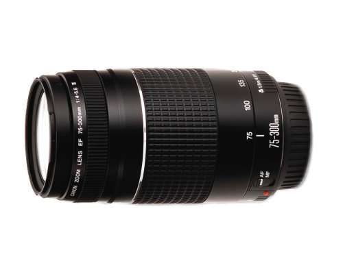 Canon EF 75-300mm F/4 - 5.6 Mark III lens