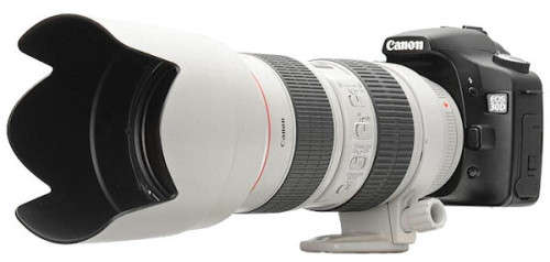 Generic used WHITE Hood for CANON EF 70-200mm f/2.8L IS USM Lens (Mark II)