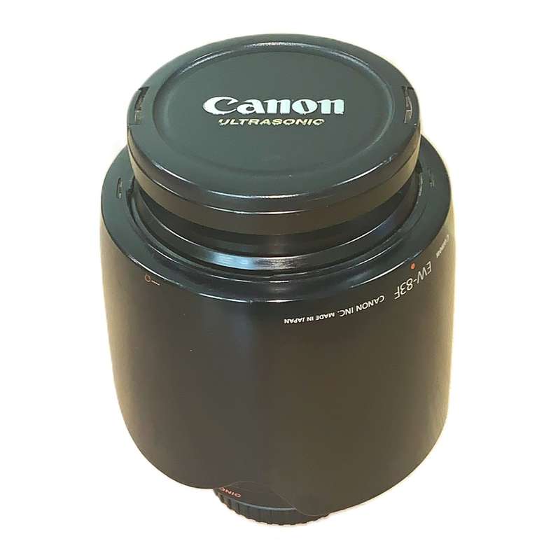 Canon EF 24-70mm f/2.8L USM full frame zoom lens