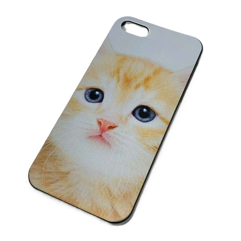 Iphone 5 5s 5se Hard Case Skin KITTEN PICTURE