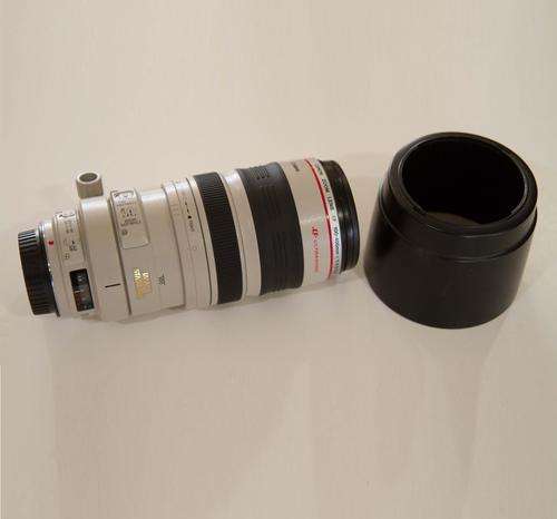 Canon EF 100-400mm f/4.5-5.6L IS USM Telephoto Zoom Lens