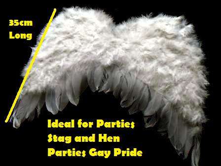 Angel Wings 48cm in WHITE Feathers Ideal Gay Pride Stag Hen & Childrens Parties Other Colours Sizes