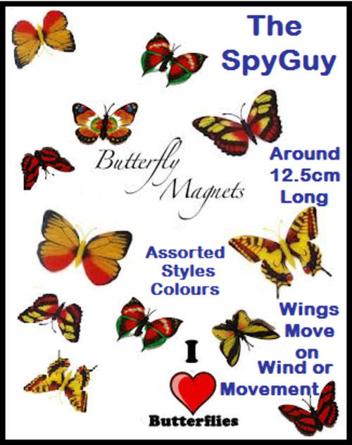 Butterfly x3 Fridge Magnet or Wall Decor in assorted Colours & Styles Butterflies Hand Painted  Made