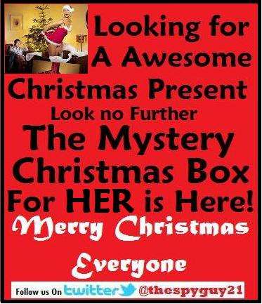 Looking for a Christmas Present For HER ?