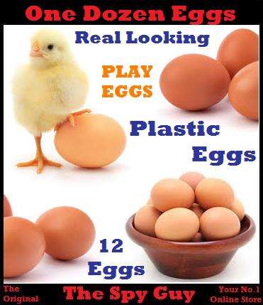 Eggs Real Looking One Dozen Normal Size Hen Play or Display Eggs Looks So Real