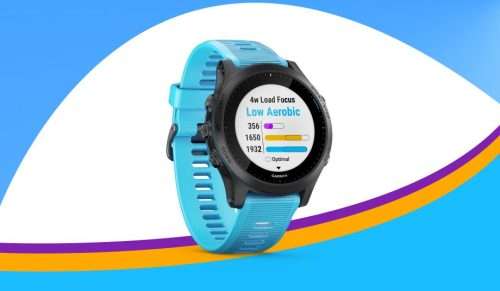 Garmin Forerunner 245 - Berry - Multisport GPS Watch (New)