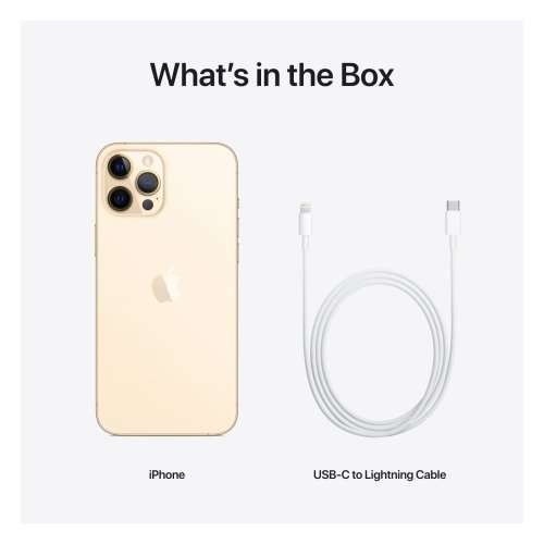 Apple iPhone 12 Pro Max