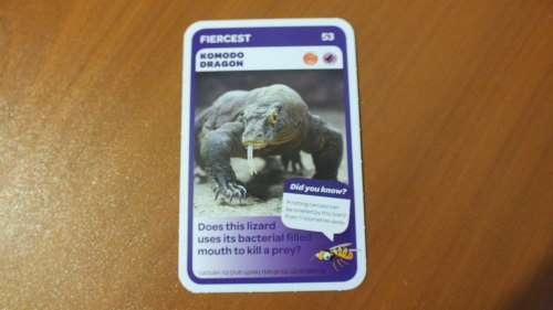 Pick n Pay Trading Card - 53 - Komodo Dragon