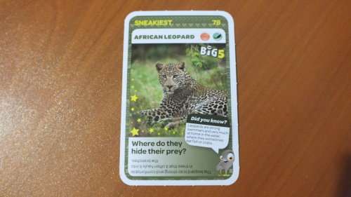 Pick n Pay Trading Card - 78 - African Leopard