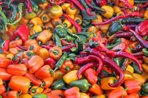 12 kinds of HOT - 1200 Seeds!