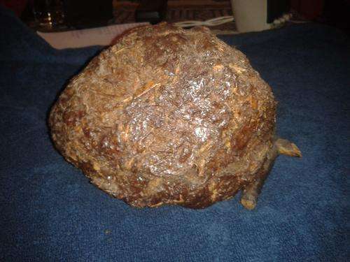 Elephant dung hinged container