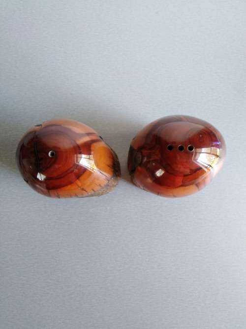 Olive Wood Salt and Pepper Shackers + Salad Servers made of Bone in excellent Condition