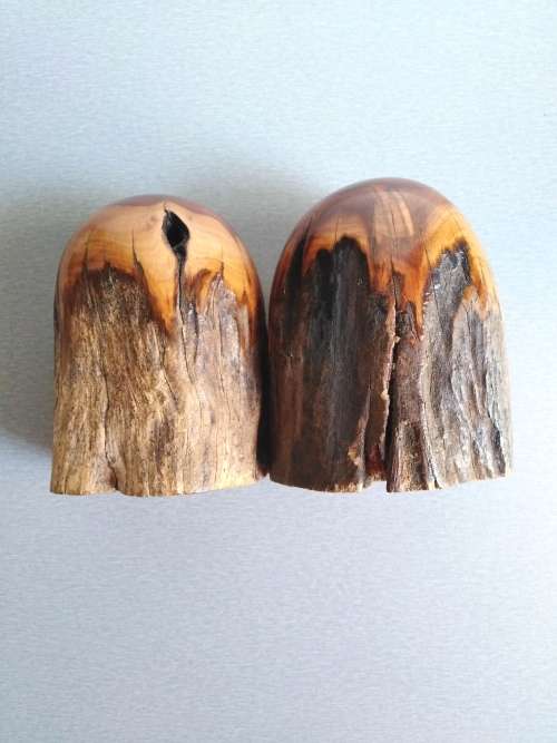 Olive Wood Salt and Pepper Shackers + Salad Servers made of Bone in excellent Condition