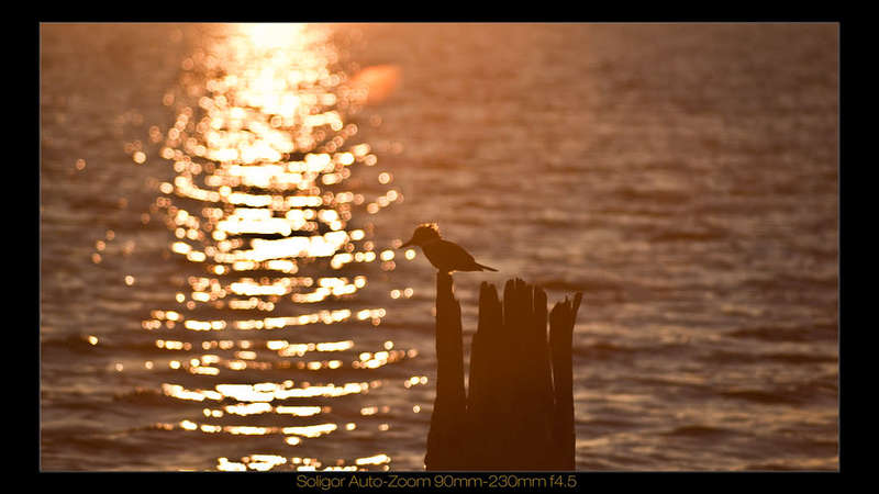 Soligor zoom 90mm-230mm f4.5 M42