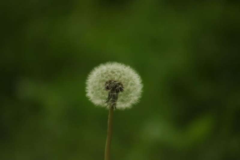 Soligor zoom 90mm-230mm f4.5 M42