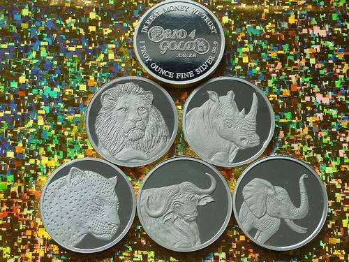 1 OUNCE PURE SILVER COIN ( RSA BIG FIVE )