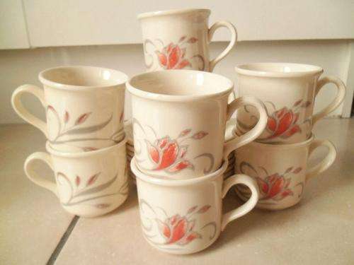 REDUCED BY 50%! 8 CUPS & SAUCERS BILTONS *COLOROLL* CREAM IVORY PORCELAIN WITH FLORAL DESIGN