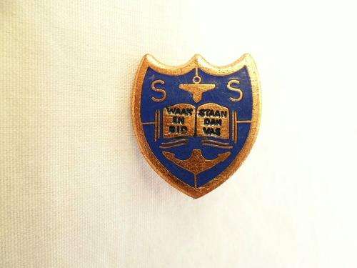 RARE VINTAGE ENAMELLED AFRIKAANS LAPEL PIN BADGE SS *WAAK EN BID - STAAN DAN VAS*