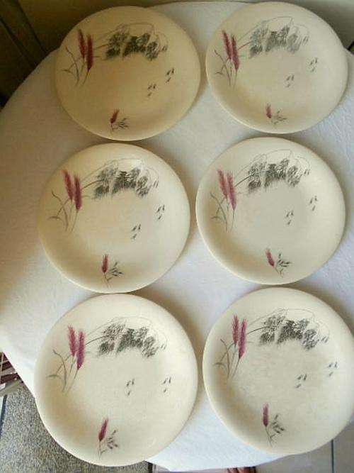 REDUCED FOR GDK07! SIX LARGE SIDE PLATES ROYAL STAFFORDSHIRE *RED WHEAT ORGANIC* BY CLARICE CLIFF