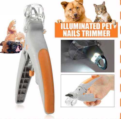 Pet nail clippers illuminating