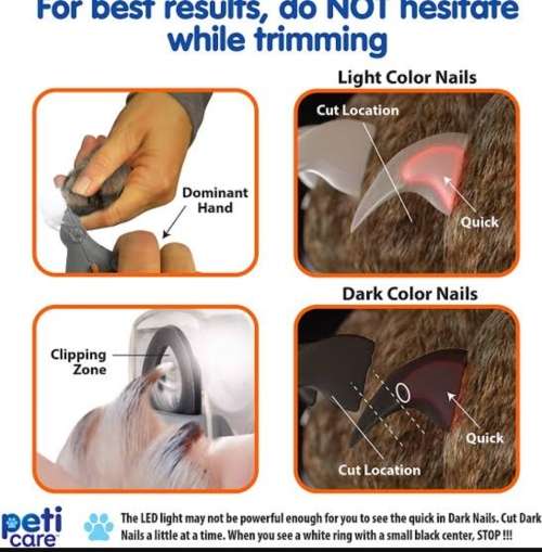 Pet nail clippers illuminating
