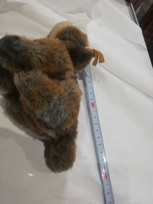 Steiff Cat- As per pictures. Has number . Collectable